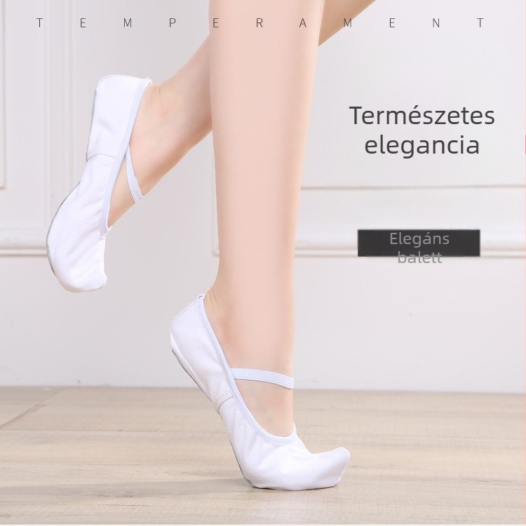 Tánccipő - Vászon felsőrész; Kompozit talp; Könnyű; Kopásálló; Felnőtt, Uniszex