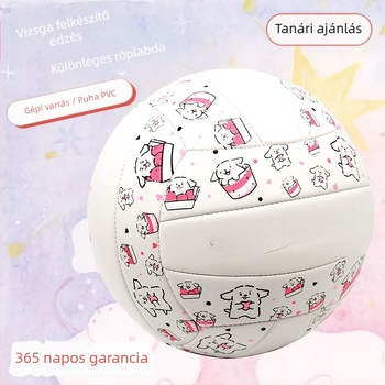 Beltéri edzésre szánt röplabda marhabőrből, testreszabási lehetőséggel; logó nyomtatása nem lehetséges