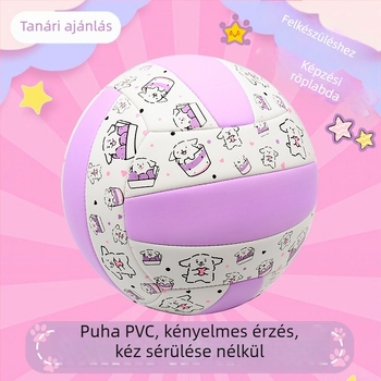 Beltéri edzésre szánt röplabda marhabőrből, testreszabási lehetőséggel; logó nyomtatása nem lehetséges