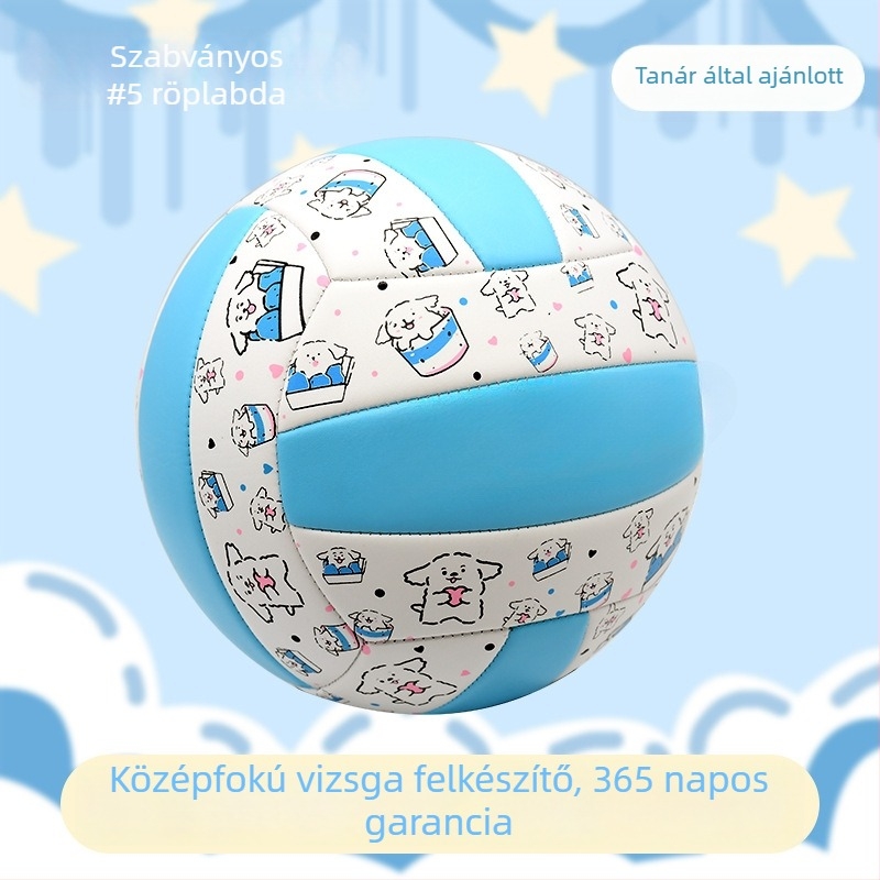 Beltéri edzésre szánt röplabda marhabőrből, testreszabási lehetőséggel; logó nyomtatása nem lehetséges