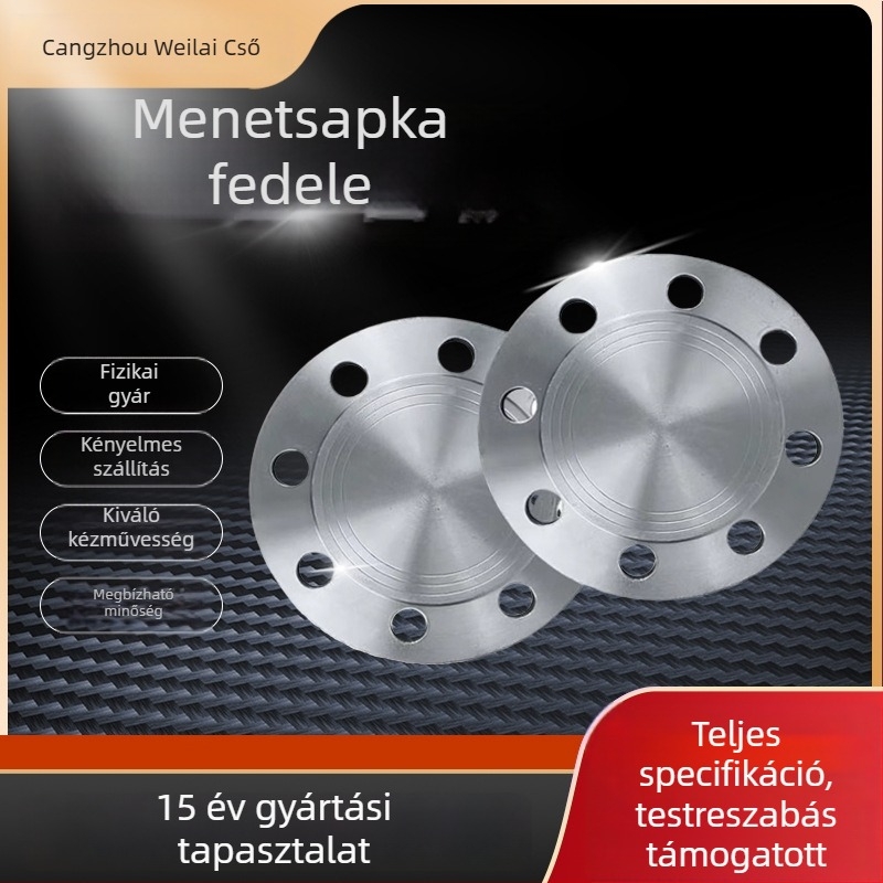 Szénacél blind lemez - axiális típus, hegesztett csatlakozás, korrózióálló és magas nyomásállóság, modell 10-1200