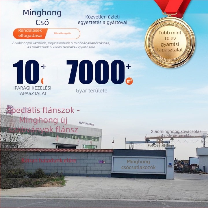 Rozsdamentes acélból készült hosszú nyakú kovácsolt flanž hegesztett csatlakozással, nemzeti szabvány szerint, korrózióálló és nagy nyomásállóság.
