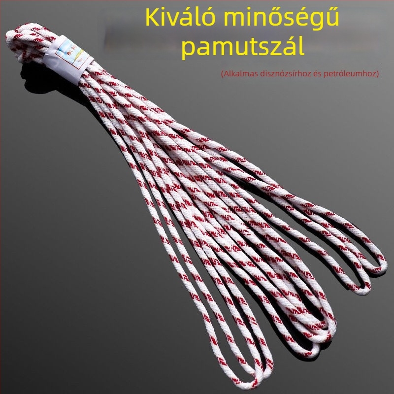 Régi lovas lámpa üvegbúrás árnyékolóval – olajtüzelésű lámpa buddhista felajánláshoz és ősök tiszteletéhez