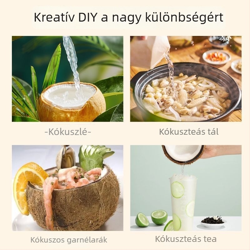 Kókusznyitó eszköz - műanyag és rozsdamentes acél test, modern minimalist design, 2024-es modell