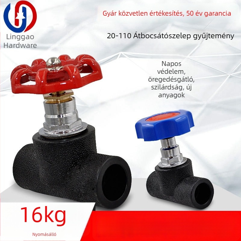 HDPE zárócsap a vízellátó rendszerhez — Márka Fang Sheng, Eredet Zhuji