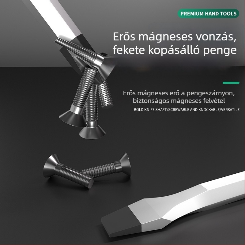 Csavarhúzó készlet lapos és keresztfejű bitkkel, króm-vanádium acélból, mágneses, súly 1.8