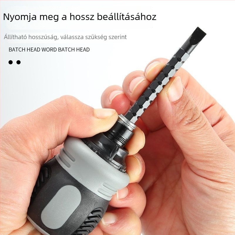 Csavarhúzó készlet reteszes mechanizmussal – kétoldalú fejű bitek, szénacél, konfigurációk 13-in-1 és 26-in-1.