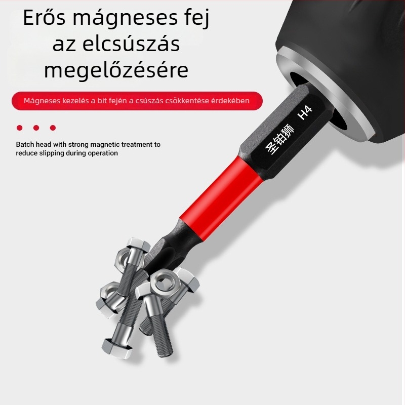 Hex socket fejű elektromos csavarhúzó készlet, mágneses, S2 ötvözet szerszámacél, Holy Platinum Lion