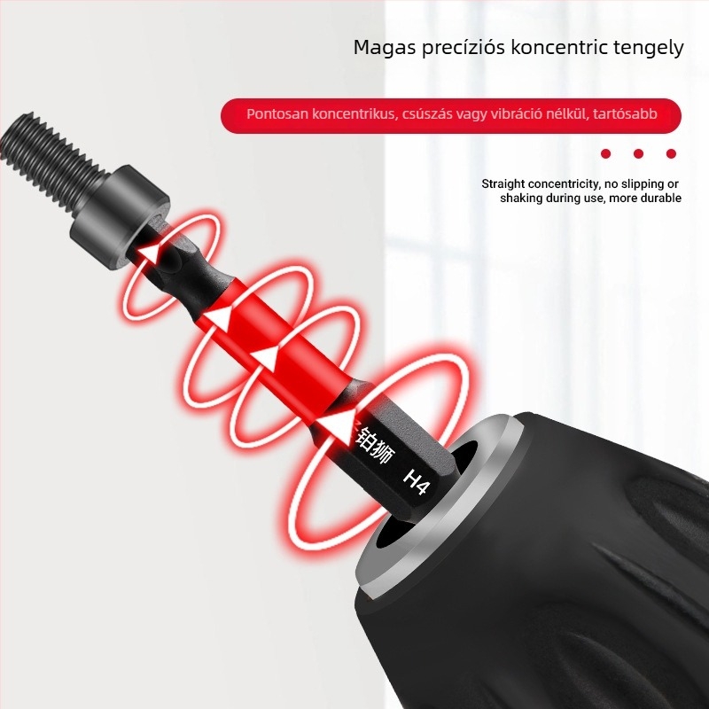 Hex socket fejű elektromos csavarhúzó készlet, mágneses, S2 ötvözet szerszámacél, Holy Platinum Lion