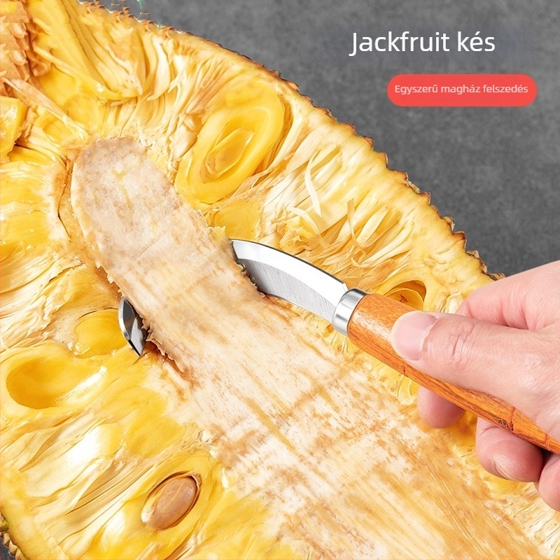 Rozsdamentes acél jackfruit kivágó kés — gyümölcsökhöz speciális eszköz, testreszabható dizájn, modern stílus, bevezetve 2020 télen