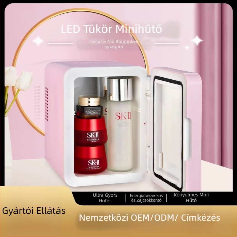 Forró és hideg hordozható mini hűtő, 6–10L, ABS, 12V/220V, 30–42W