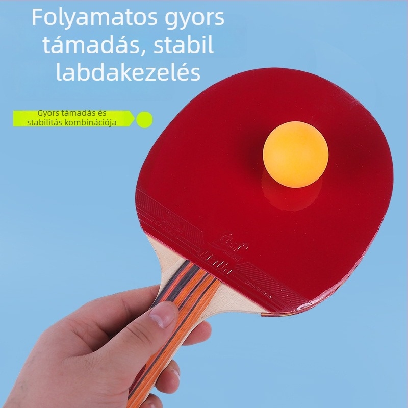 Asztalitenisz ütő készlet – Penhold fogás, kétoldalas invertált gumi, Termékkód Table Tennis Racket 001