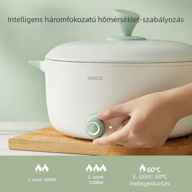 Elektromos főzőedény, 2–3 L kapacitású, többfunkciós edény gőzöléssel, sütéssel, főzéssel és párolással, nagy kapacitású otthoni használatra, kollégiumi diákok számára, kompakt