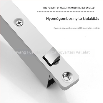 Rejtett automata zárócsap dupla ajtókhoz, rozsdamentes acél/zink ötvözet, polírozott felület, modern minimál stílus
