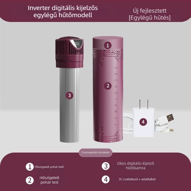 Inzulin hűtő félvezető hűtéssel – hordozható, újratölthető mini hűtő hormonális gyógyszerekhez, 5 L kapacitás, 10 W teljesítmény, márka Mynew/Mainiu