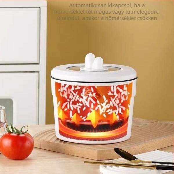 Elektromos többfunkciós főzőedény instant tésztához, 1 L kapacitás, kompakt egy személyes használatra, kollégium vagy iroda, OEM