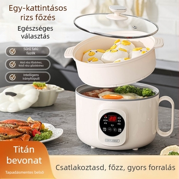 Mindenre alkalmas elektromos főzőedény titánium belsővel rizshez, zabhoz és leveshez — kapacitás legfeljebb 2 L, kétszintes kialakítás, mikroprocesszoros vezérlés, szigetelt