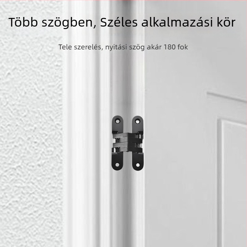 Keresztirányú rejtett ajtópánt (Zinc alloy cross concealed hinge; rozsdamentes acél; elektroplakálás; modern minimalist stílus)