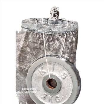 Fürdőszobai dupla szintes szappantartó, drenázs funkcióval, fedél és szívókorongokkal a mosogatóhoz