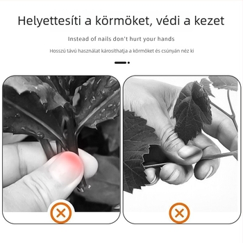 Rozsdamentes acél ujjvédő és edamame hámozó eszköz – modern egyszerű dizájn, 2013 tavaszán debütált