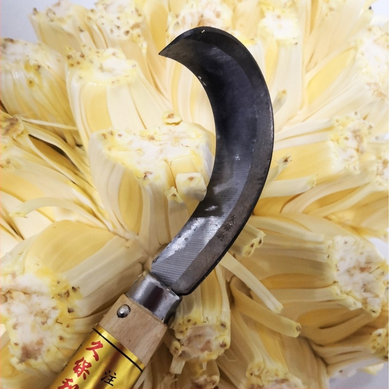 Jiupoly jackfruit magtávolító görbült kés, 65 Mn acél, származás Zhejiang Wuyi, gyümölcsboltok számára, 2020