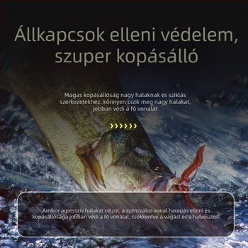 Pinsen Szénszálas Fő Vonal – Magas Szilárdságú Horgászvonal, 50m/100m