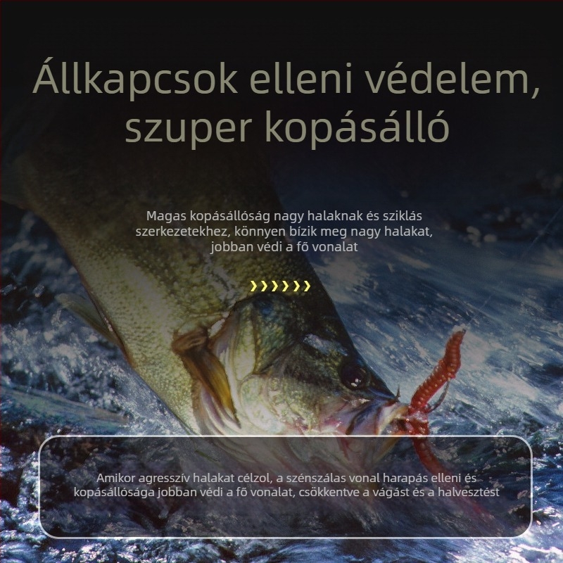 Pinsen Szénszálas Fő Vonal – Magas Szilárdságú Horgászvonal, 50m/100m