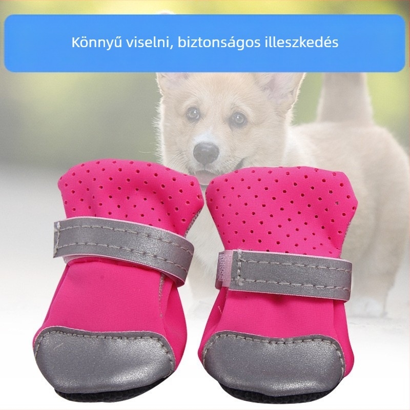 PU kutya cipő | Youbaolong | Kopásálló | Szabadidős stílus