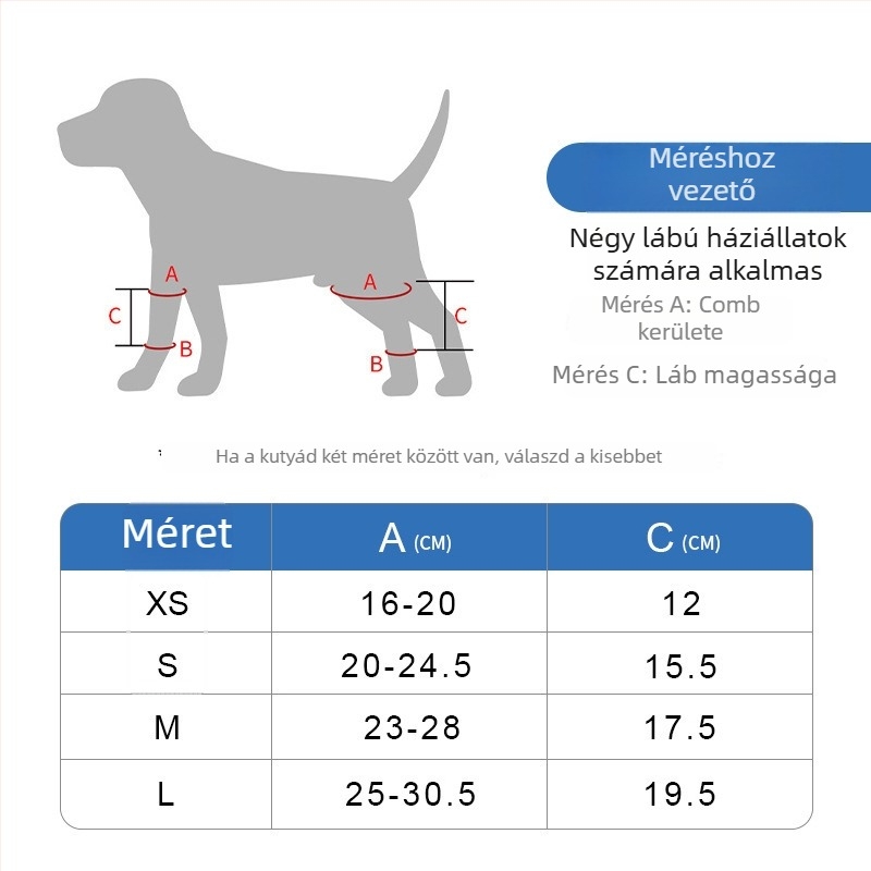 Kutya térdvédő mandzsettája neoprenből támogató csíkkal, casual stílusban