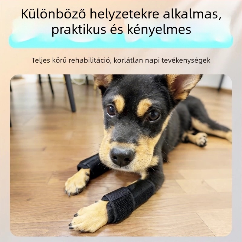 Kutyák és macskák lábainak immobilizáló sínje — ízületek védelme, láb- és mancs-korrekció, külső rögzítés előre és hátra