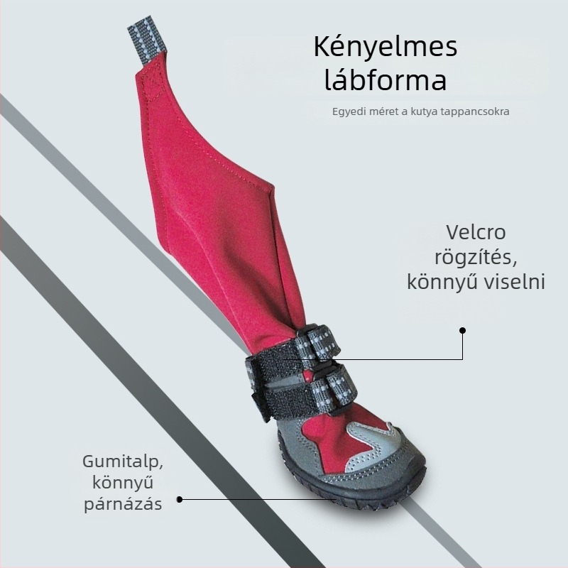 Bársonyos kutyacsizma őszre és télre – vízálló, csúszásmentes, mindennapi stílus