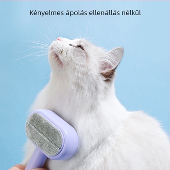 Pipi tao Kétoldalas öntisztító macskafésű a szőr eltávolítására, poliészter anyag és rozsdamentes acél tűkkel