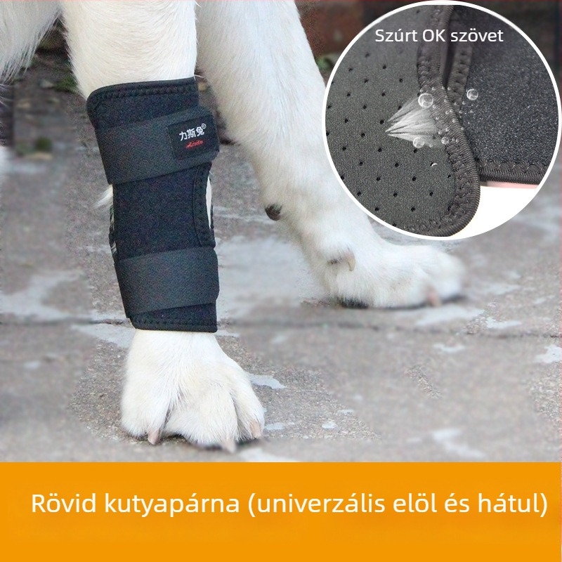 Hátsó lábvédő háziállatok számára – térdvédő és kötény töréshez macskáknak és kutyáknak, univerzális illeszkedés. (Anyag: Szövet; Stílus: Védelem; Funkciók: Melegen tart, Kopásálló)