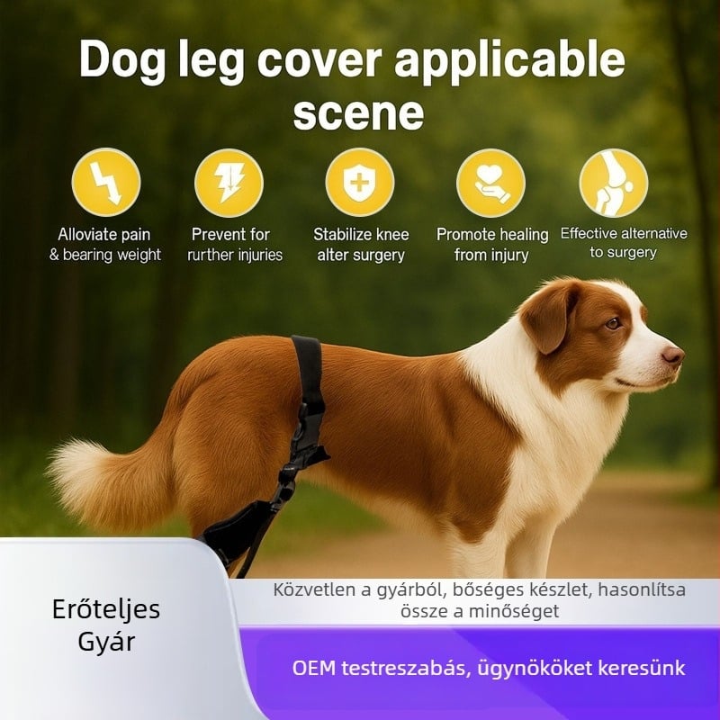 Kutya hátsó lábvédő készlet — térdvédő és ízületi védőöv (Anyag: poliészter rost; Cikkszám: K031; Alkalmas: kutyák; Funkció: ízületi védelem)