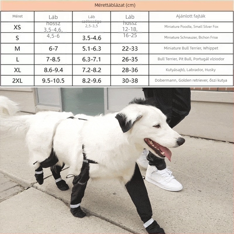 Kutyacipők — Silk Flower anyag, Kutyák számára, Univerzális stílus, Eredet: Egyéb