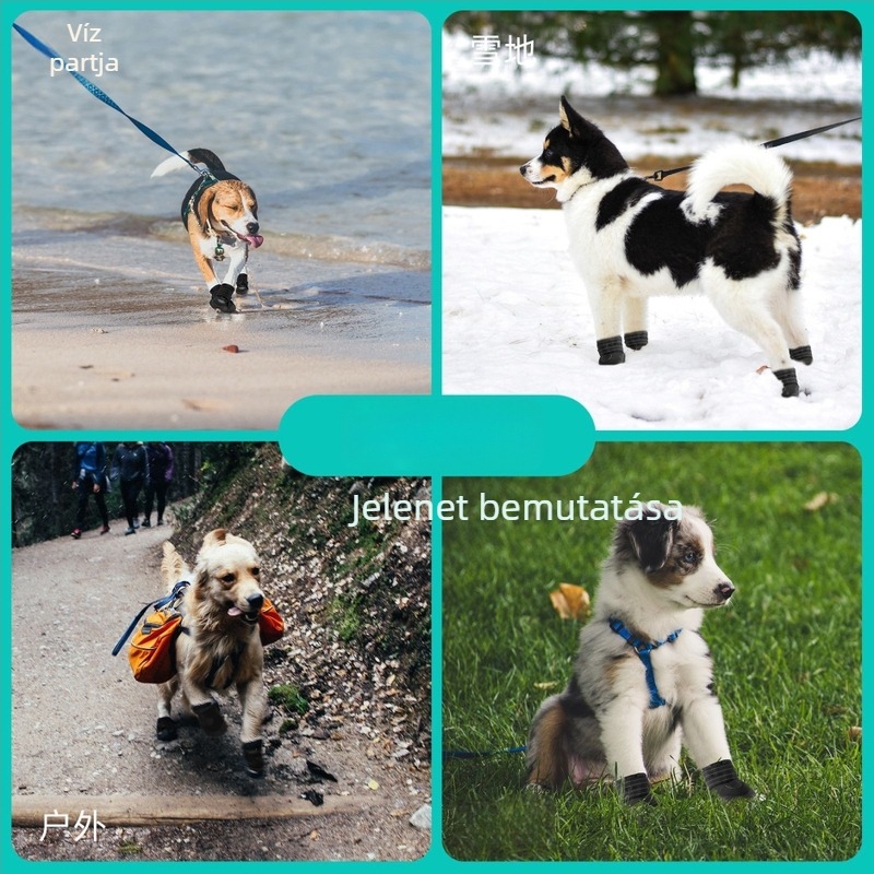 Kutya beltéri cipő — textil, vízálló, meleg, csúszásmentes, kopásálló