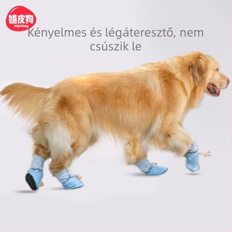 Gumi kutya lábvédők – meleg lábbeli a kutyáknak