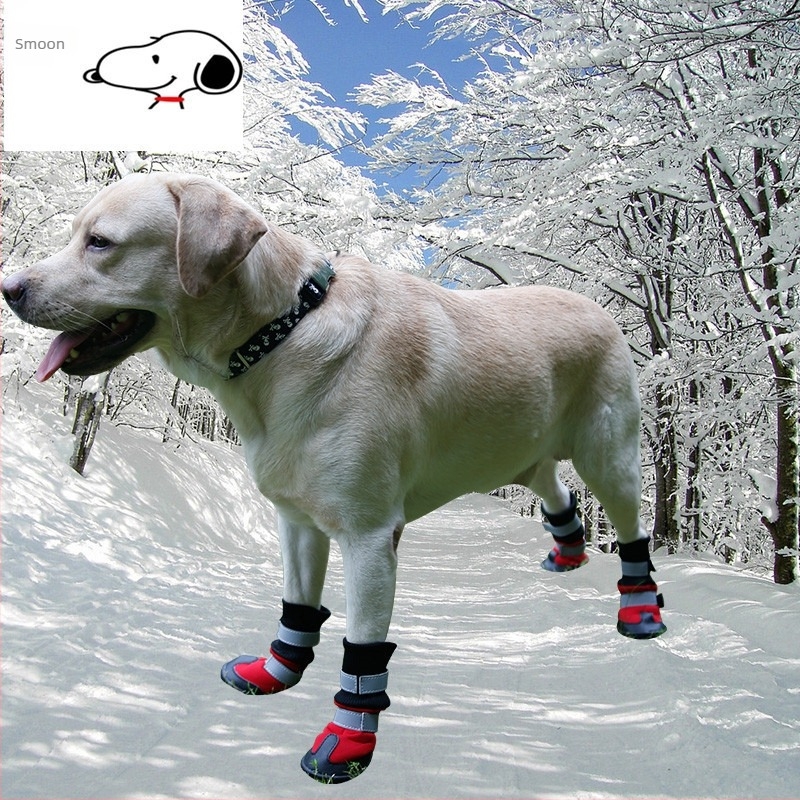 Kutya cipők – téli vízálló, csúszásmentes, melegen tartó és kopásálló