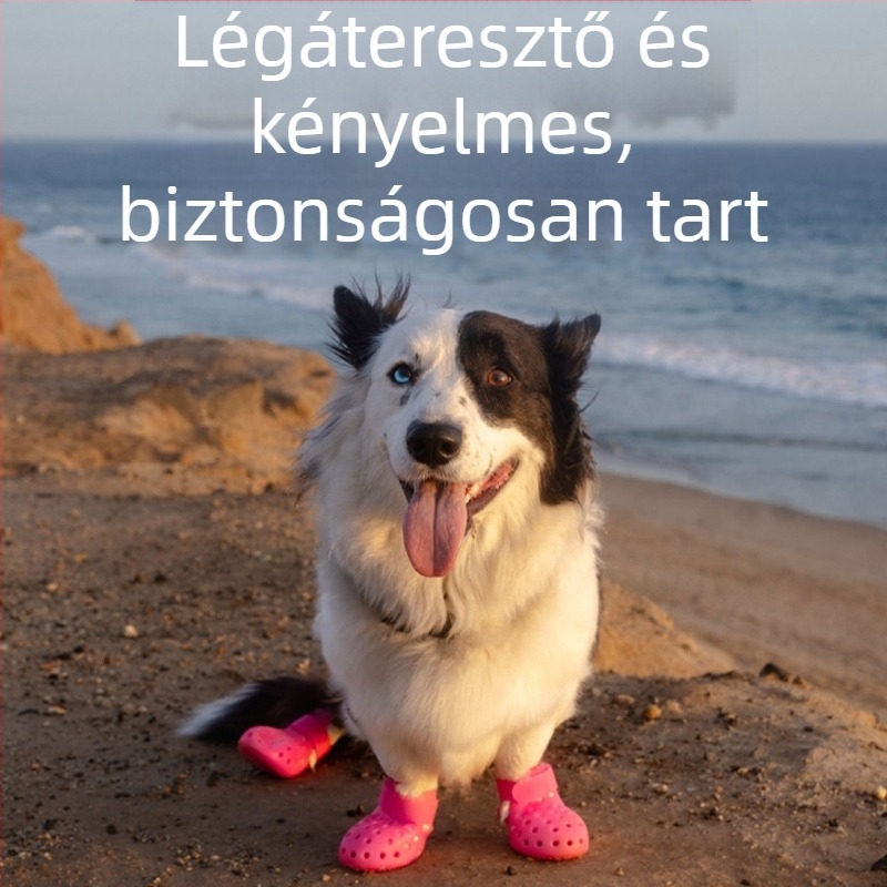 Kutya gumicsizmák esőben – vízálló, csúszásmentes, kopásálló, dekoratív
