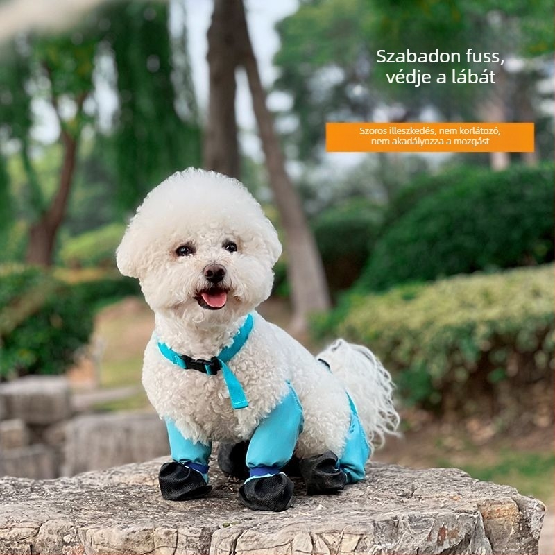 Kutyás esőcipő — vízálló, csúszásmentes, kopásálló, négy évszakos; anyag: ötvözet; márka: Powerful merchant