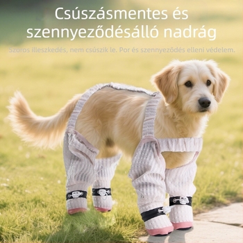 Kutyák porvédő nadrág, szabadidős stílus (polieszter szál; márka: Pet taro; termék kategória: porvédő nadrág; általános használat)