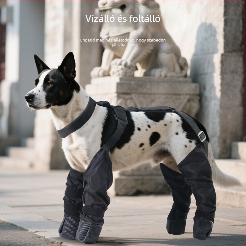 Kutyák porvédő nadrág, szabadidős stílus (polieszter szál; márka: Pet taro; termék kategória: porvédő nadrág; általános használat)
