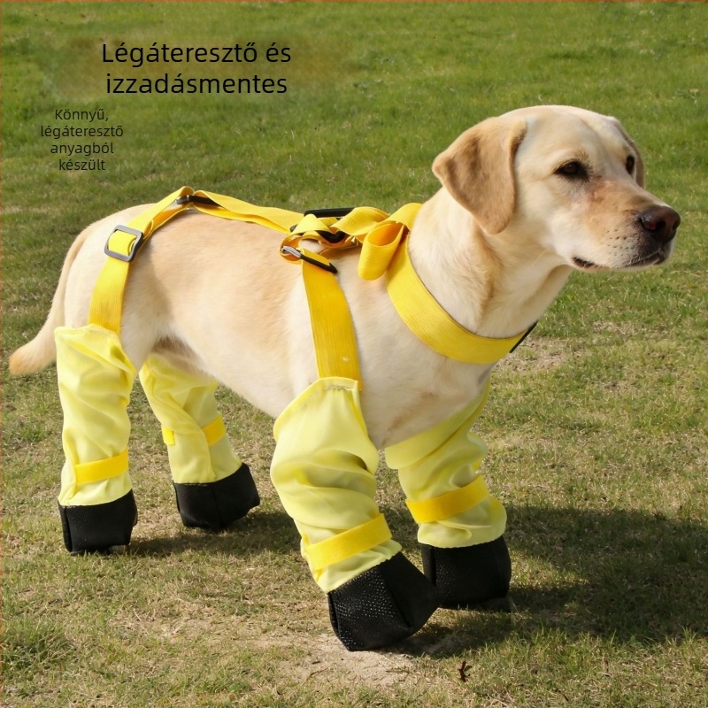 Kutyák porvédő nadrág, szabadidős stílus (polieszter szál; márka: Pet taro; termék kategória: porvédő nadrág; általános használat)