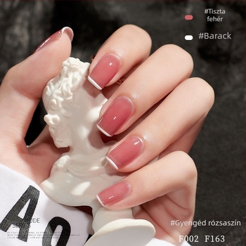 Teljes körömdíszítő készlet – PVC eszközök a reszeléshez és formázáshoz, otthoni fototerápiás lámpa, gél körömlakk 10 ml, Fairy Jia Yi márka