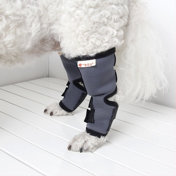 Ji Tsai Kutya lábvédő mandzsetta — Space Layer anyag, posztoperatív használat, anti nyalogatás, univerzális illeszkedés