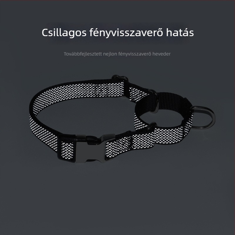 Csillagmintás fényvisszaverő Martingale kutyanyakörv gravírozott névvel