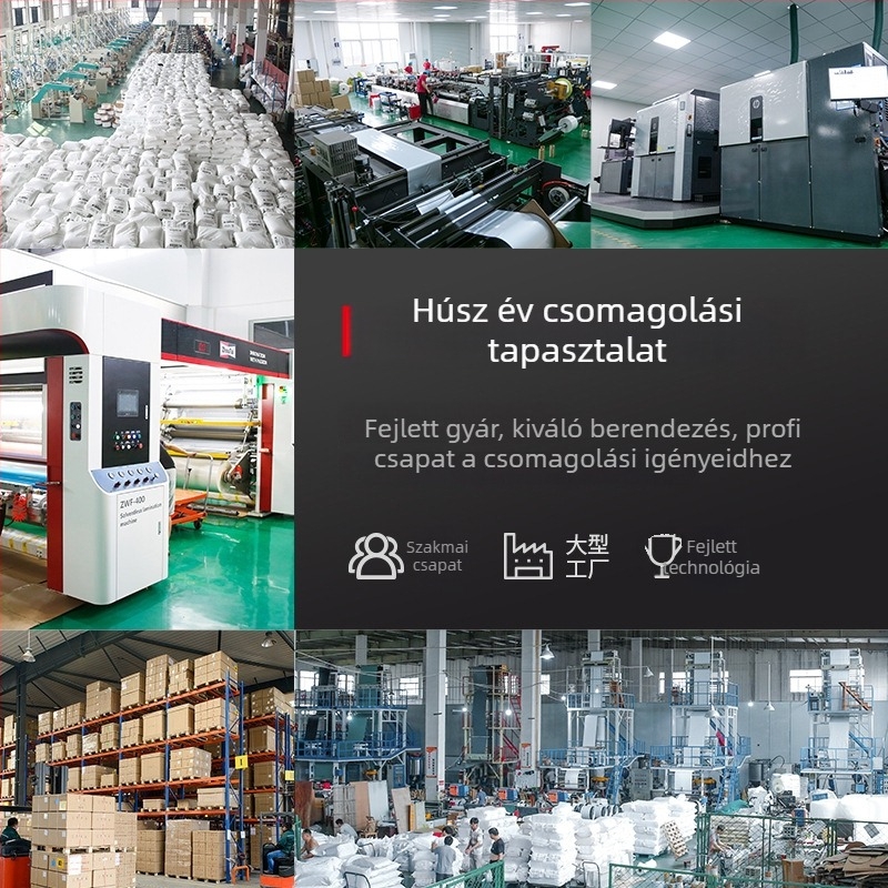 Önzáró ZIP-záras ékszertáska; műanyag csomagoló taska; nyomtatott logó