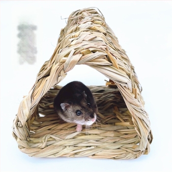 Szalmából készült kisállat-nest és kuckó — Anyag: szalma; Eredet: Guangdong; Importálás nélkül; Licencelt magáncímke; Termékkategória: Ülés párna, Ketrec, Házikó, Fészek