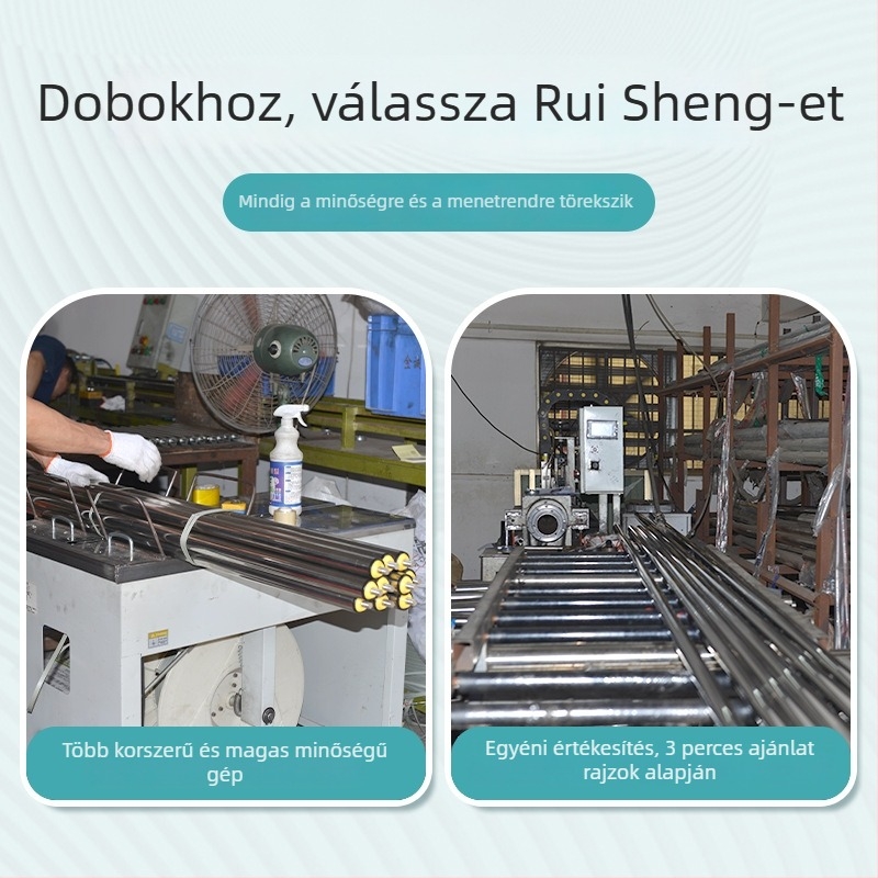 Meghajtás nélküli görgő szállítószalaghoz, galvanizált idlerrel és rozsdamentes vagy szénacél hengertesttel az összeszerelési vonalhoz