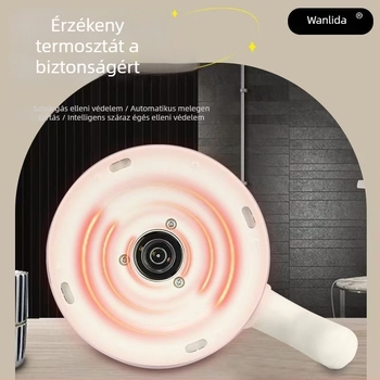Wanlida Egészségkanna – üvegből készült test, 2–3 L, 800 W, 220 V, érintéses vezérlés, nyomásos termosztát, főzési/infúziós funkció